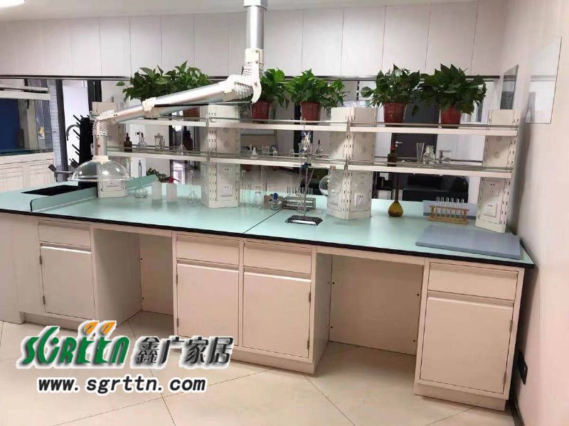 化驗(yàn)室pp操作臺(tái)，實(shí)驗(yàn)臺(tái)鋼木化學(xué)試驗(yàn)桌，工作臺(tái)學(xué)校通風(fēng)柜，全鋼試驗(yàn)臺(tái)