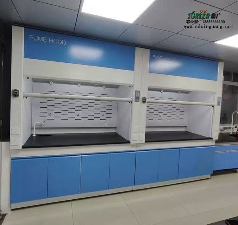 山東全鋼通風櫥實驗室全鋼通風柜PP排風柜