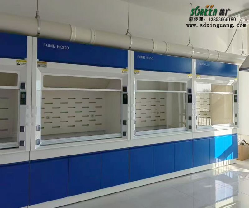 濰坊全鋼通風櫥落地式實驗室通風柜廠家供應