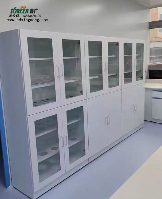 山東全鋼試劑柜實驗室器皿柜試劑柜定做