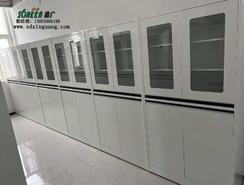 濰坊全鋼試劑柜實驗室器皿柜儲存柜供應(yīng)