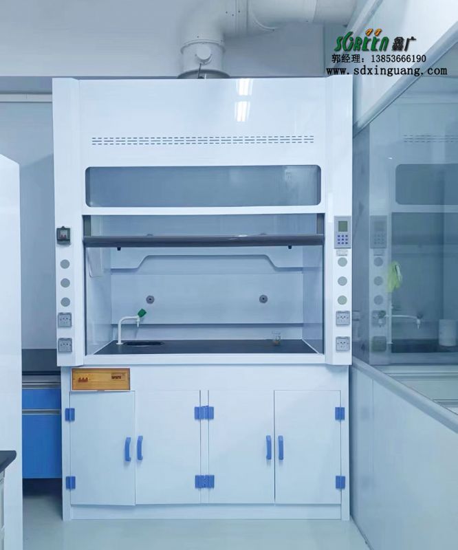 山東實驗室家具pp通風柜化驗室排風柜耐酸堿