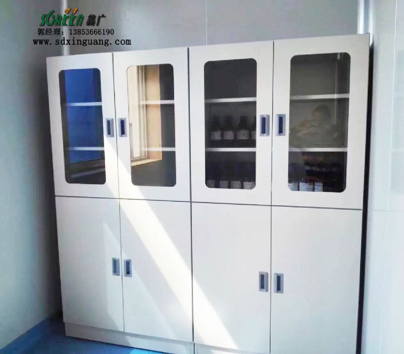 山東實驗臺全鋼器皿柜實驗室pp儀器柜試劑柜