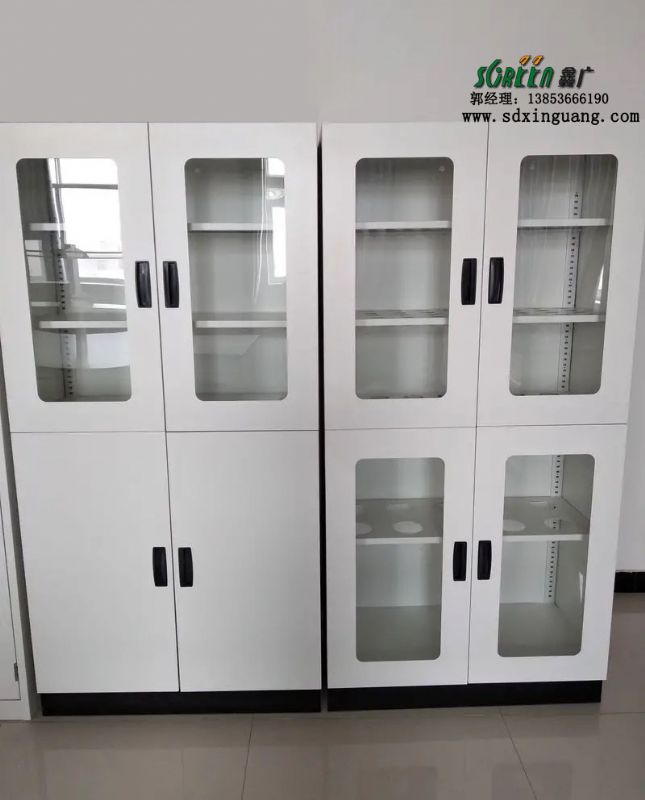 濰坊實驗室家具實驗室器皿柜存儲柜供應(yīng)