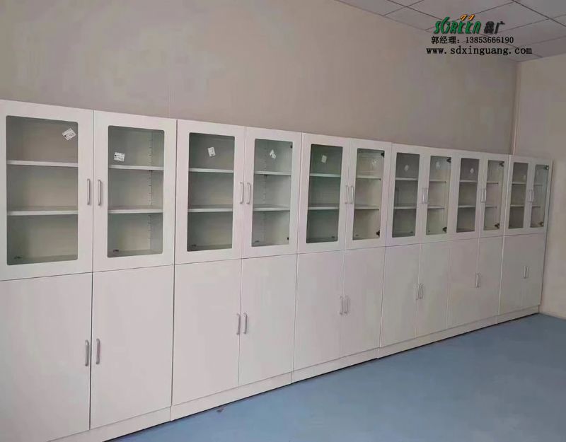 山東實驗室設(shè)備實驗室全鋼試劑柜器皿柜存放柜