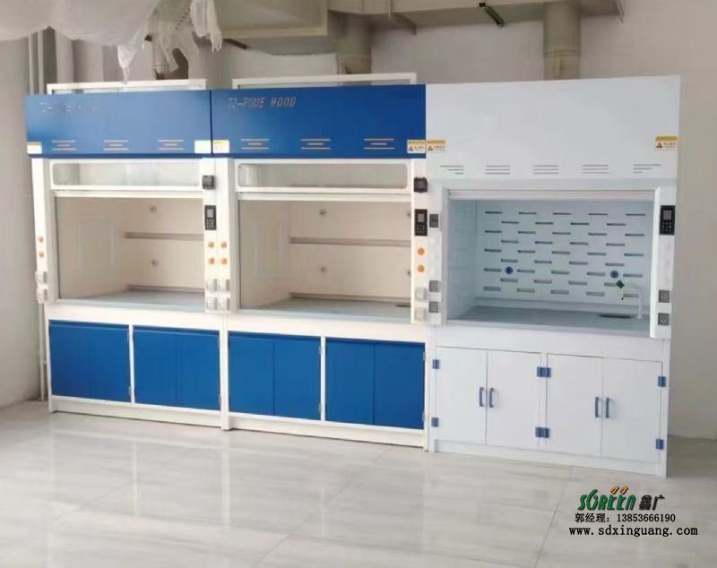 山東實驗室通風柜生產通風櫥供應實驗臺廠家