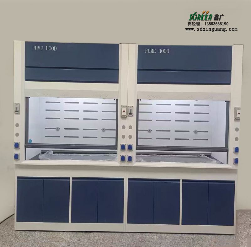 山東實驗室家具全鋼通風柜PP通風櫥廠家供應