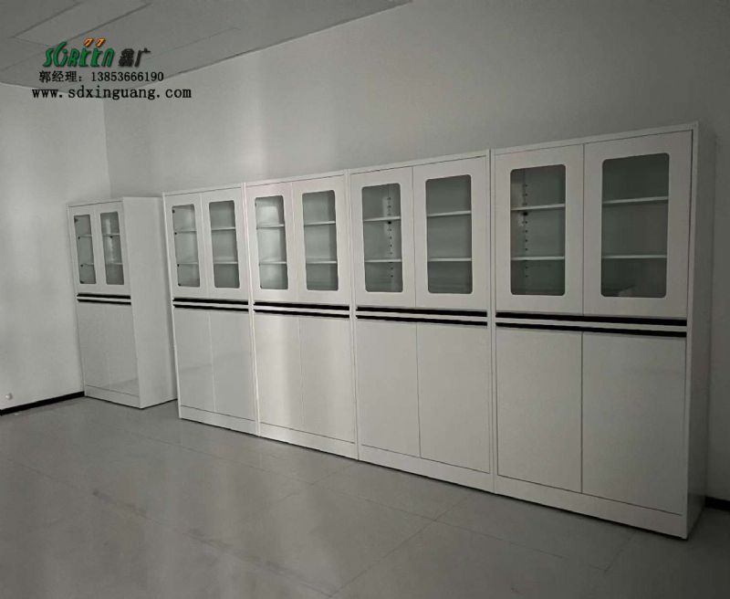 山東試劑柜廠家 實驗室全鋼器皿柜儲物柜 加工定制