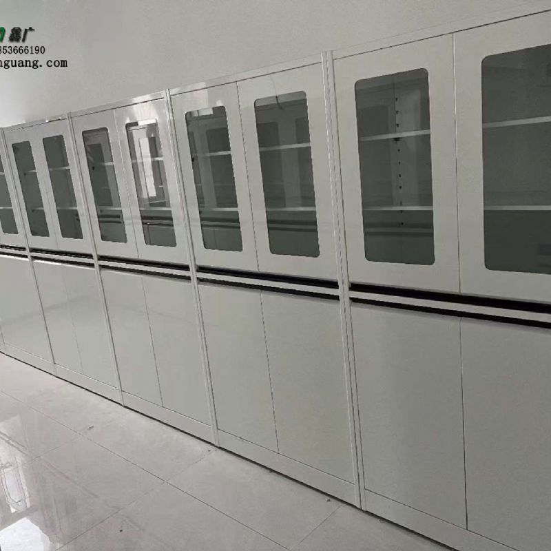 濟南實驗臺廠家 全鋼器皿柜 實驗室試劑柜可定制