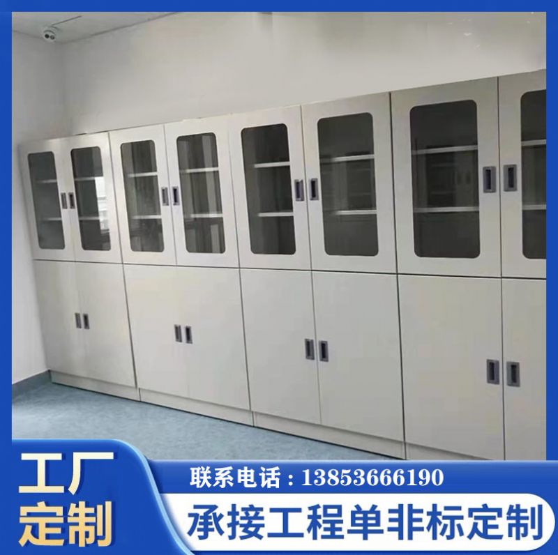 山東實(shí)驗(yàn)臺(tái)廠家全鋼器皿柜化學(xué)品柜 存儲(chǔ)柜