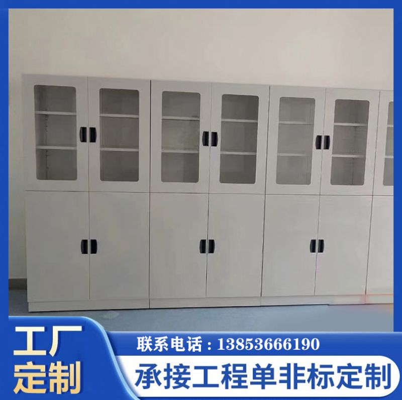 濰坊實(shí)驗(yàn)室家具儀器柜實(shí)驗(yàn)室全鋼試劑柜