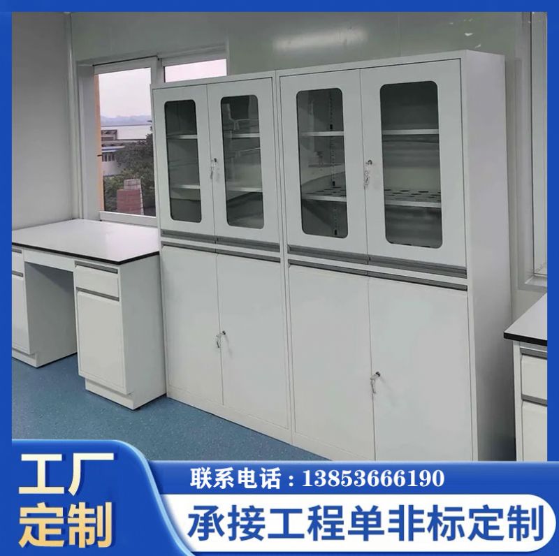山東濱州實(shí)驗(yàn)臺(tái)實(shí)驗(yàn)室器皿柜試劑柜廠家定制