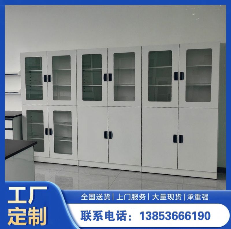 山東實(shí)驗(yàn)室設(shè)備實(shí)驗(yàn)室器皿柜 化驗(yàn)室試劑柜